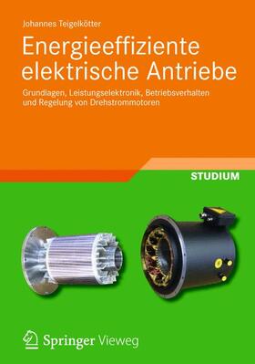 Teigelkötter | Teigelkötter, J: Energieeffiziente elektrische Antriebe | Buch | 978-3-8348-1938-3 | sack.de