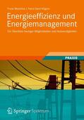 Hilgers / Wosnitza |  Energieeffizienz und Energiemanagement | Buch |  Sack Fachmedien