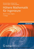 Burg / Haf / Wille |  Höhere Mathematik für Ingenieure Band II | eBook | Sack Fachmedien