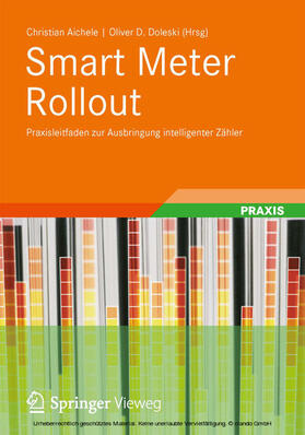 Aichele / Doleski / Arzberger |  Smart Meter Rollout | eBook | Sack Fachmedien