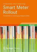 Aichele / Doleski / Arzberger |  Smart Meter Rollout | eBook | Sack Fachmedien