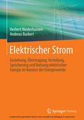 Niederhausen / Burkert |  Elektrischer Strom | eBook | Sack Fachmedien