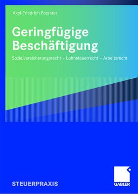 Foerster | Geringfügige Beschäftigung | Buch | 978-3-8349-1199-5 | sack.de