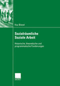 Biesel |  Sozialräumliche Soziale Arbeit | eBook | Sack Fachmedien