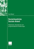 Biesel |  Sozialräumliche Soziale Arbeit | Buch |  Sack Fachmedien
