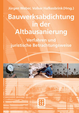 Kühne / Weber / Hemmann | Bauwerksabdichtung in der Altbausanierung | E-Book | sack.de
