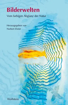 Elsner |  Bilderwelten | Buch |  Sack Fachmedien