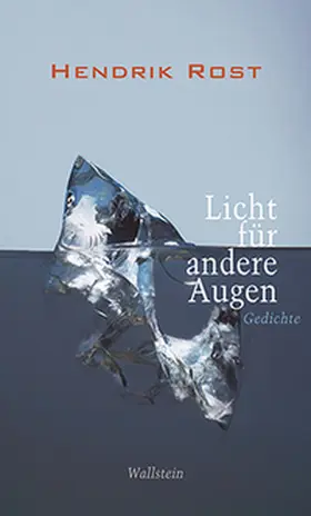 Rost |  Licht für andere Augen | Buch |  Sack Fachmedien