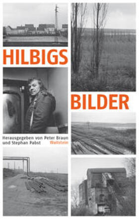 Braun / Pabst | Hilbigs Bilder | Buch | 978-3-8353-1328-6 | sack.de