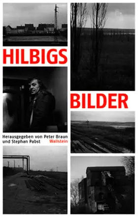 Braun / Pabst |  Hilbigs Bilder | Buch |  Sack Fachmedien