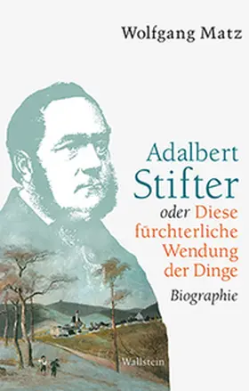 Matz | Adalbert Stifter oder Diese fürchterliche Wendung der Dinge | Buch | 978-3-8353-1799-4 | www.sack.de