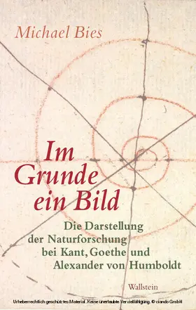Bies |  Im Grunde ein Bild | eBook | Sack Fachmedien