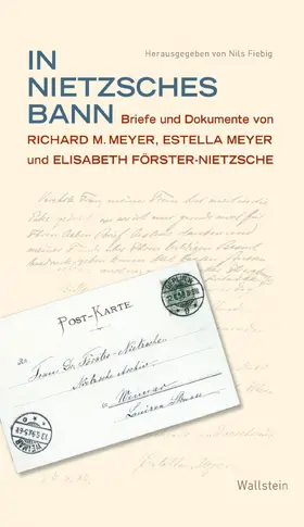 Fiebig |  In Nietzsches Bann | eBook | Sack Fachmedien