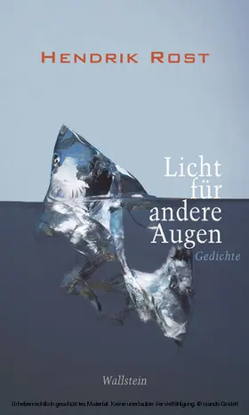 Rost |  Licht für andere Augen | eBook | Sack Fachmedien