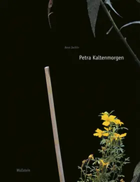 Zechlin |  Petra Kaltenmorgen | Buch |  Sack Fachmedien