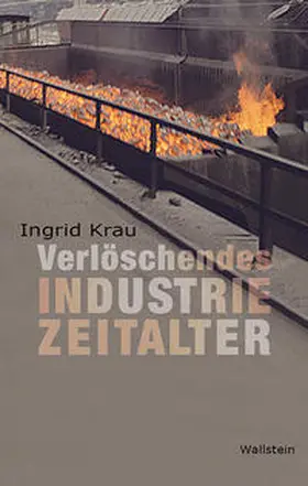 Krau |  Verlöschendes Industriezeitalter | Buch |  Sack Fachmedien