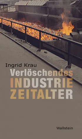 Krau |  Verlöschendes Industriezeitalter | eBook | Sack Fachmedien