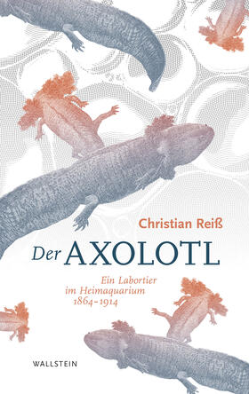 Reiß | Der Axolotl | E-Book | sack.de