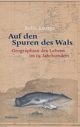 Lüttge | Auf den Spuren des Wals | E-Book | sack.de