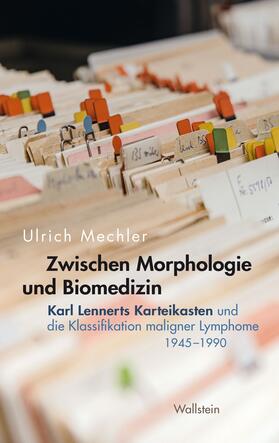 Mechler | Zwischen Morphologie und Biomedizin | E-Book | sack.de