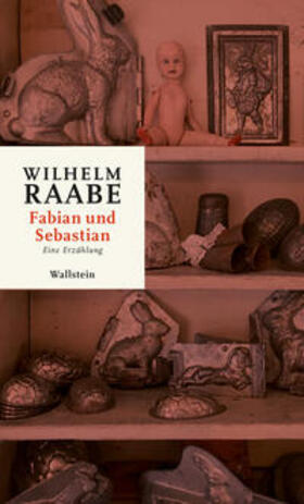 Raabe / Baßler |  Fabian und Sebastian | Buch |  Sack Fachmedien
