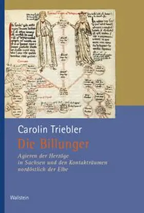 Triebler |  Die Billunger | Buch |  Sack Fachmedien