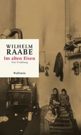 Bertschik / Raabe |  Im alten Eisen | Buch |  Sack Fachmedien