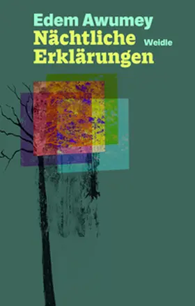Awumey |  Nächtliche Erklärungen | Buch |  Sack Fachmedien