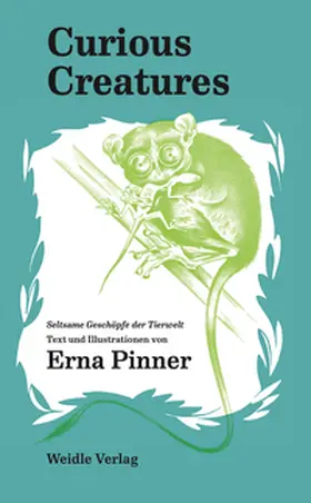 Pinner |  Curious Creatures | Buch |  Sack Fachmedien