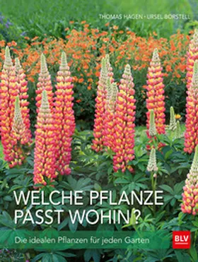 Hagen / Borstell |  Welche Pflanze passt wohin? | Buch |  Sack Fachmedien