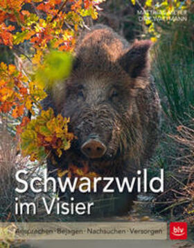 Waltmann / Meyer | Schwarzwild im Visier | Buch | 978-3-8354-1519-5 | sack.de