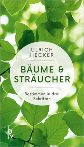 Hecker |  Bäume und Sträucher | Buch |  Sack Fachmedien
