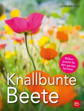 Weigelt |  Knallbunte Beete | Buch |  Sack Fachmedien