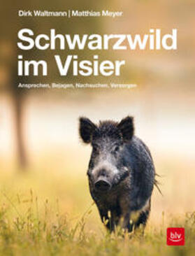 Waltmann / Meyer | Schwarzwild im Visier | Buch | 978-3-8354-1962-9 | sack.de