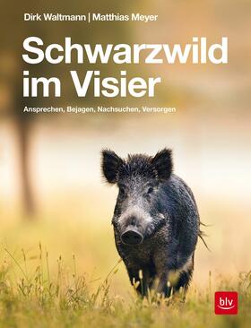 Meyer / Waltmann | Schwarzwild im Visier | E-Book | sack.de
