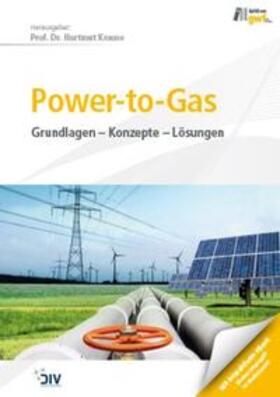 Krause | Power-to-Gas | Buch | 978-3-8356-7253-6 | sack.de