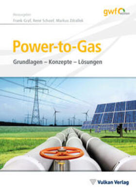 Graf / Schoof / Zdrallek | Power-to-Gas | Buch | 978-3-8356-7445-5 | sack.de