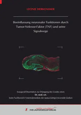 Herkommer |  Beeinflussung neuronaler Funktionen durch Tumor-Nekrose-Faktor (TNF) und seine Signalwege | Buch |  Sack Fachmedien