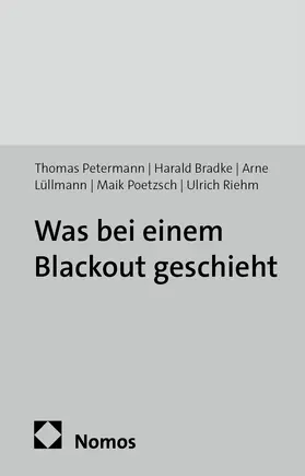 Petermann / Bradke / Lüllmann |  Was bei einem Blackout geschieht | Buch |  Sack Fachmedien