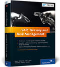 BrySa / Bryša / Fritzsche |  SAP Treasury and Risk Management | Buch |  Sack Fachmedien