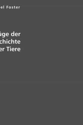 Foster / Krosigk |  Grundzüge der Entwicklungsgeschichte der Tiere | Buch |  Sack Fachmedien