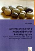 Scheffler |  Systemische Leitung interdisziplinärer Projektgruppen | Buch |  Sack Fachmedien