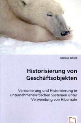 Schulz | Historisierung von Geschäftsobjekten | Buch | 978-3-8364-9316-1 | sack.de