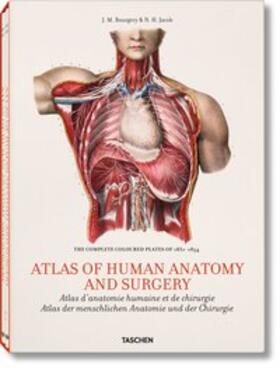 Minor / Sick |  Bourgery. Atlas of Human Anatomy and Surgery | Buch |  Sack Fachmedien