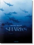 Cousteau / Nelson / Kock |  Michael Muller. Sharks | Buch |  Sack Fachmedien