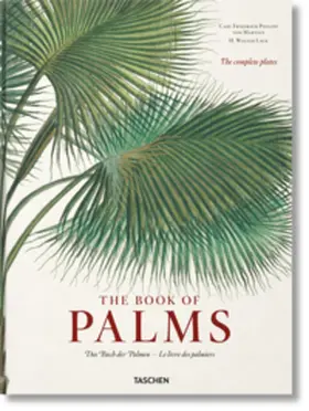 Lack |  Martius. The Book of Palms | Buch |  Sack Fachmedien