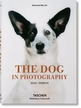 Merritt / Barth |  The Dog in Photography 1839-Today | Buch |  Sack Fachmedien