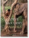 Golden |  Steve McCurry. Animals | Buch |  Sack Fachmedien