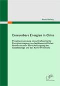 Hellwig |  Erneuerbare Energien in China: Projektentwicklung eines Kraftwerks für Energieerzeugung aus festbrennstofflicher Biomasse unter Berücksichtigung der Gesetzeslage und des Kyoto-Protokolls | Buch |  Sack Fachmedien
