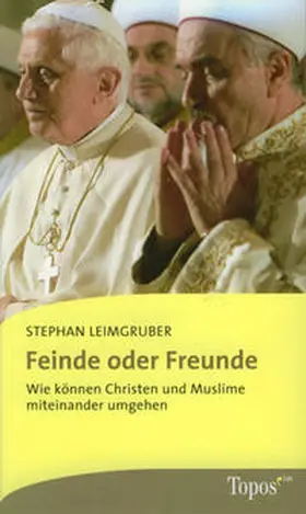 Leimgruber |  Feinde oder Freunde | Buch |  Sack Fachmedien